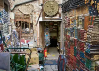 Discovering Santo Domingo’s Hidden Gems: Top Book Collections Revealed Discovering Santo Domingo's Hidden Gems: Top Book Collections Revealed marketing