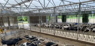 Practical guide to solar dairy farming marketing impact Practical guide to solar dairy farming marketing impact marketing