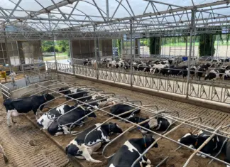 Practical guide to solar dairy farming marketing impact Practical guide to solar dairy farming marketing impact marketing