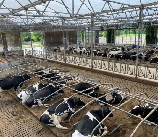 Practical guide to solar dairy farming marketing impact Practical guide to solar dairy farming marketing impact marketing