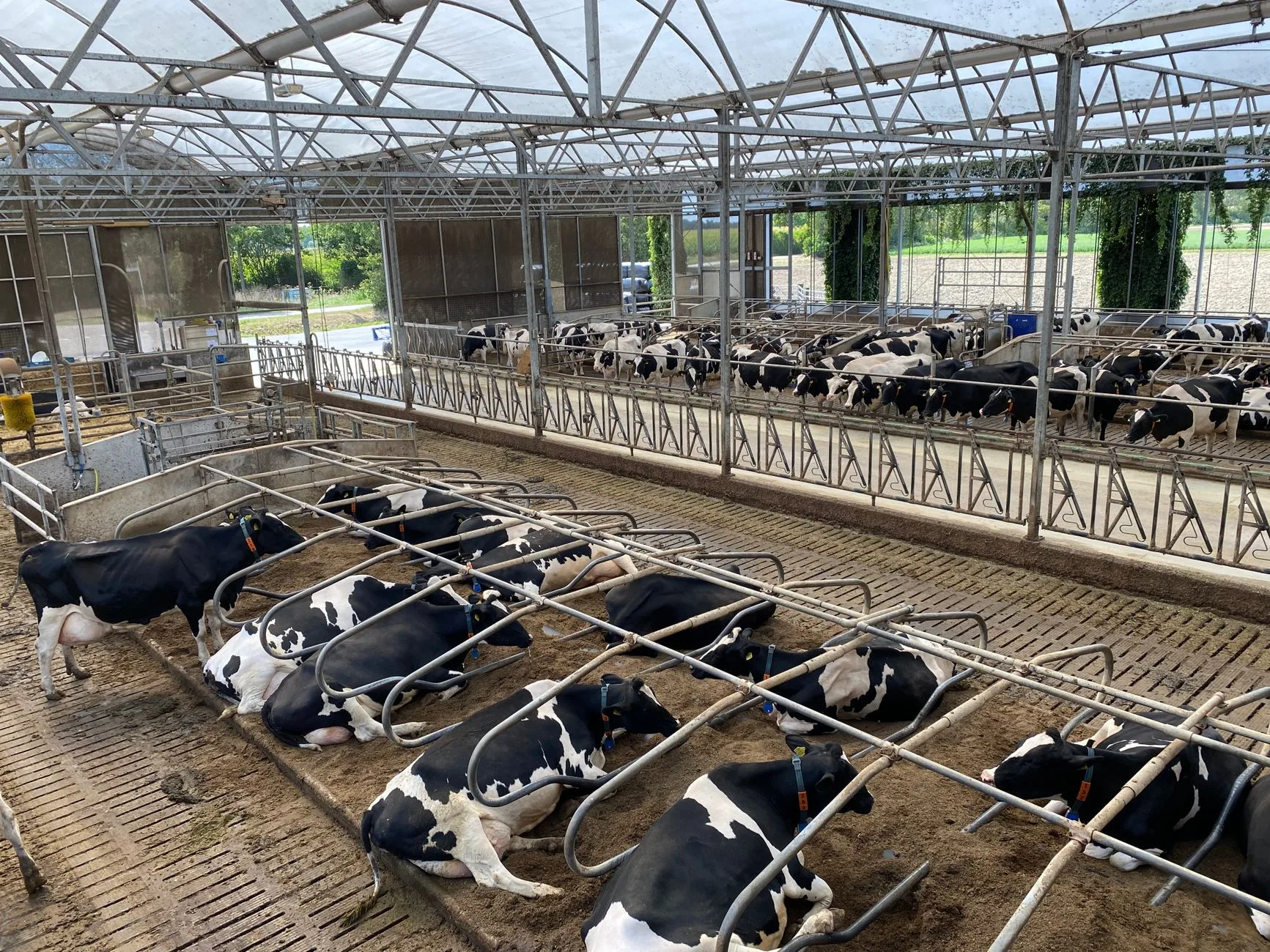 Practical guide to solar dairy farming marketing impact