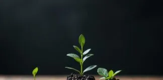 The Intersection of Digital Marketing and Sustainable Practices: A New Era The Intersection of Digital Marketing and Sustainable Practices: A New Era