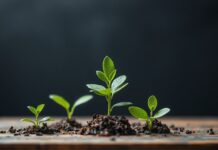 The Intersection of Marketing and Sustainability: A New Frontier The Intersection of Marketing and Sustainability: A New Frontier