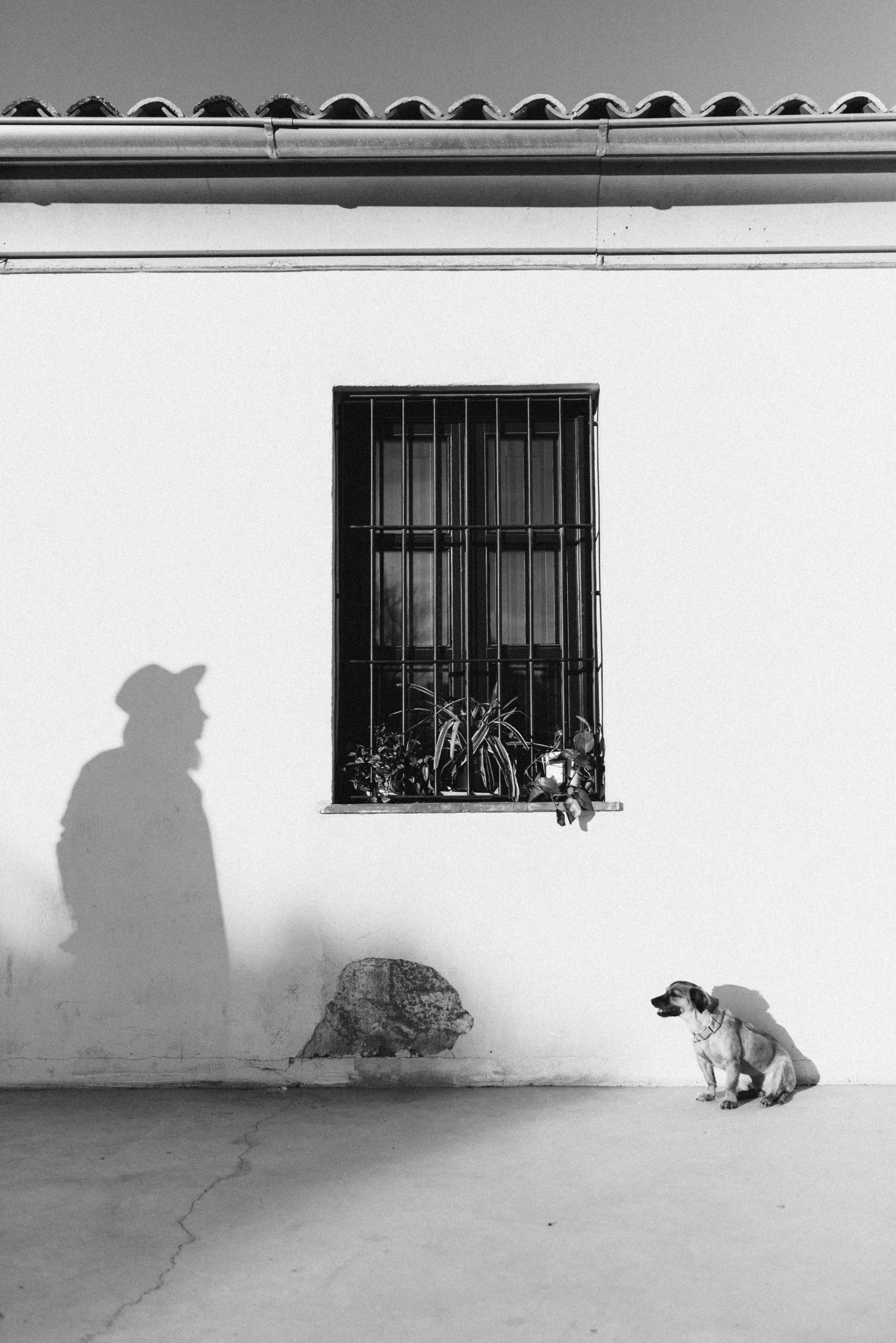 Black Hat Link Building Secrets: Unlock Powerful SEO Strategies