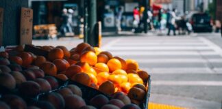 The Intersection of Wellness and Marketing: A Holistic Approach to Branding The Intersection of Wellness and Marketing