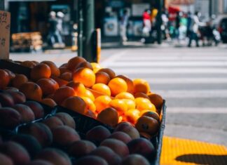 The Intersection of Wellness and Marketing: A Holistic Approach to Branding The Intersection of Wellness and Marketing