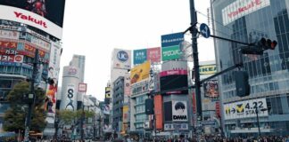The Intersection of Digital Marketing and Emerging Markets: A Comprehensive Guide The Intersection of Digital Marketing and